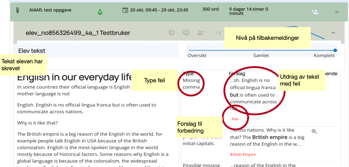 Elevers detaljerte tilbakemeldinger fra systemet