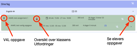 V4L oppgaver til vurdering